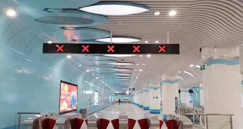 創(chuàng)新技術(shù)，產(chǎn)品為王——對(duì)話深圳茂碩電子科技總經(jīng)理謝擁軍